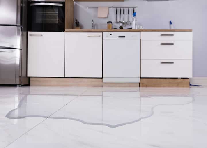 water damage flooding repair experts Milford